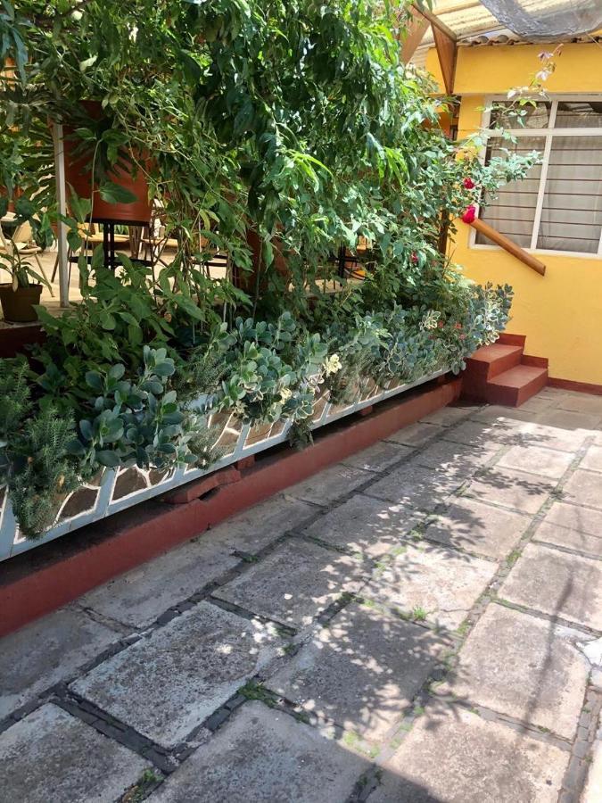Habitaciones Betito Mazamitla Exterior photo